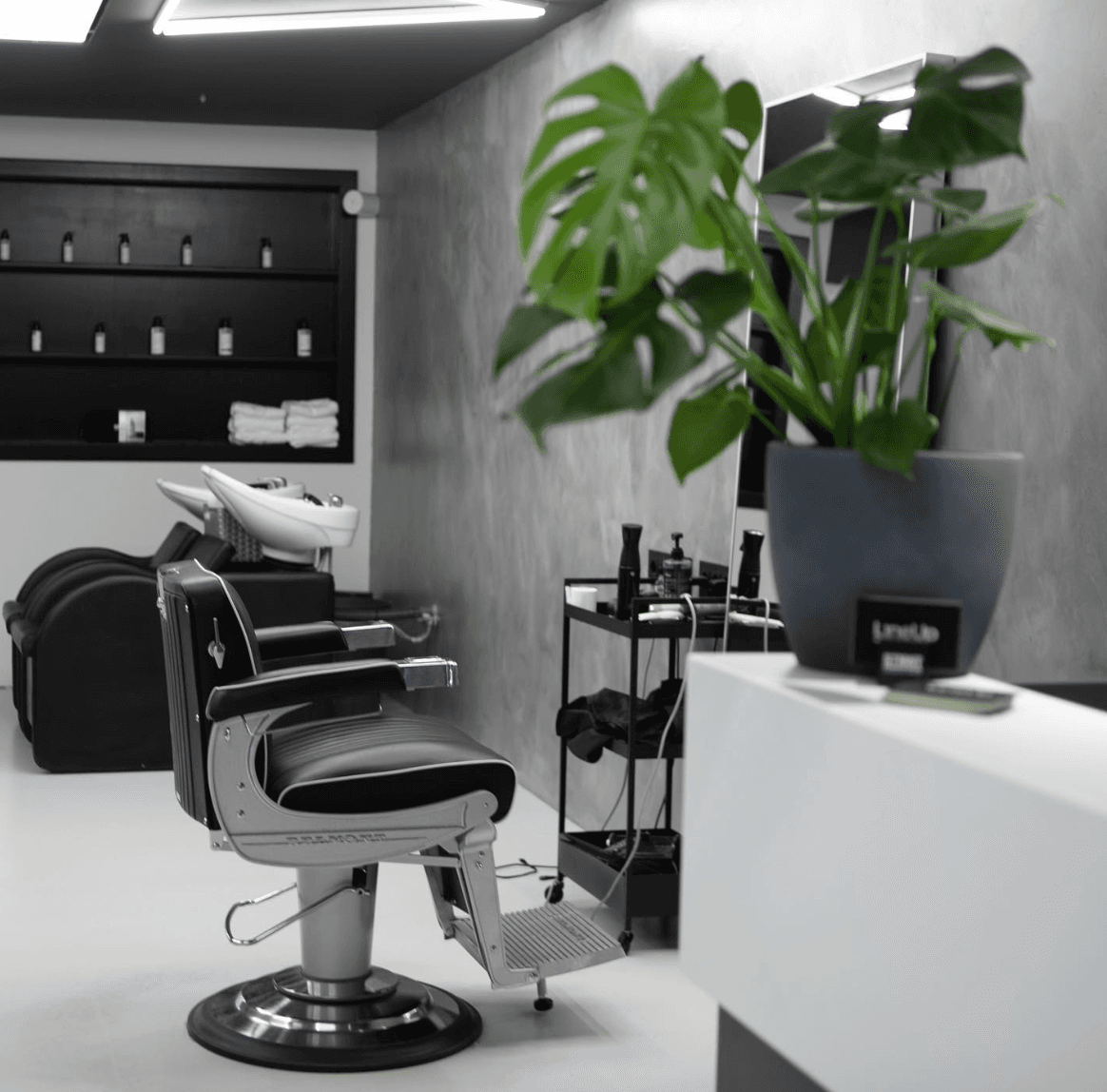 LineUp Salon - Image 1